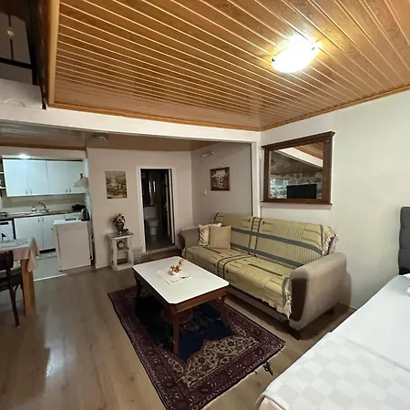 Ayvaligin Tarihi Evi 2 Katli Holiday home *