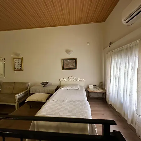 Ayvaligin Tarihi Evi 2 Katli Holiday home Sakarya (Aegean)
